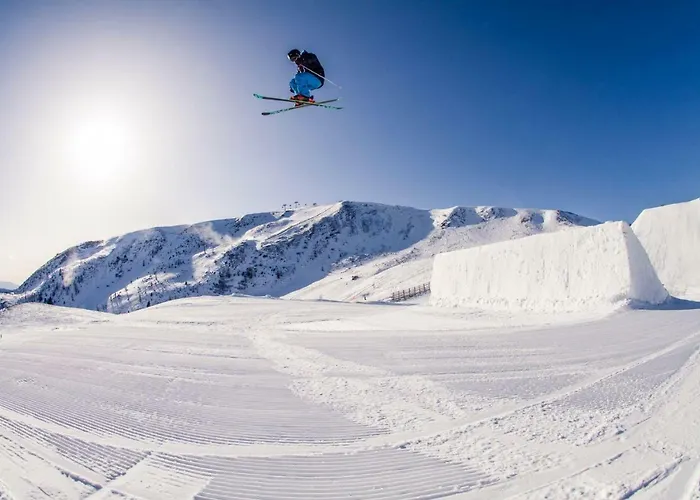 Apartament In - Out *